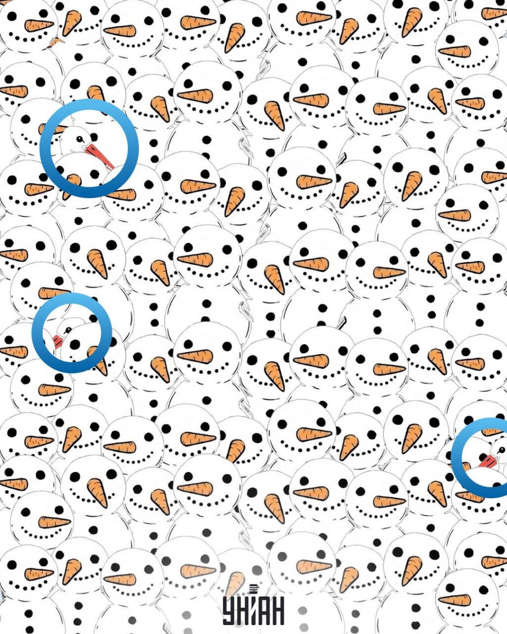 V 11 sekundah med snežaki poiščite 3 štorklje: neverjetna optična iluzija