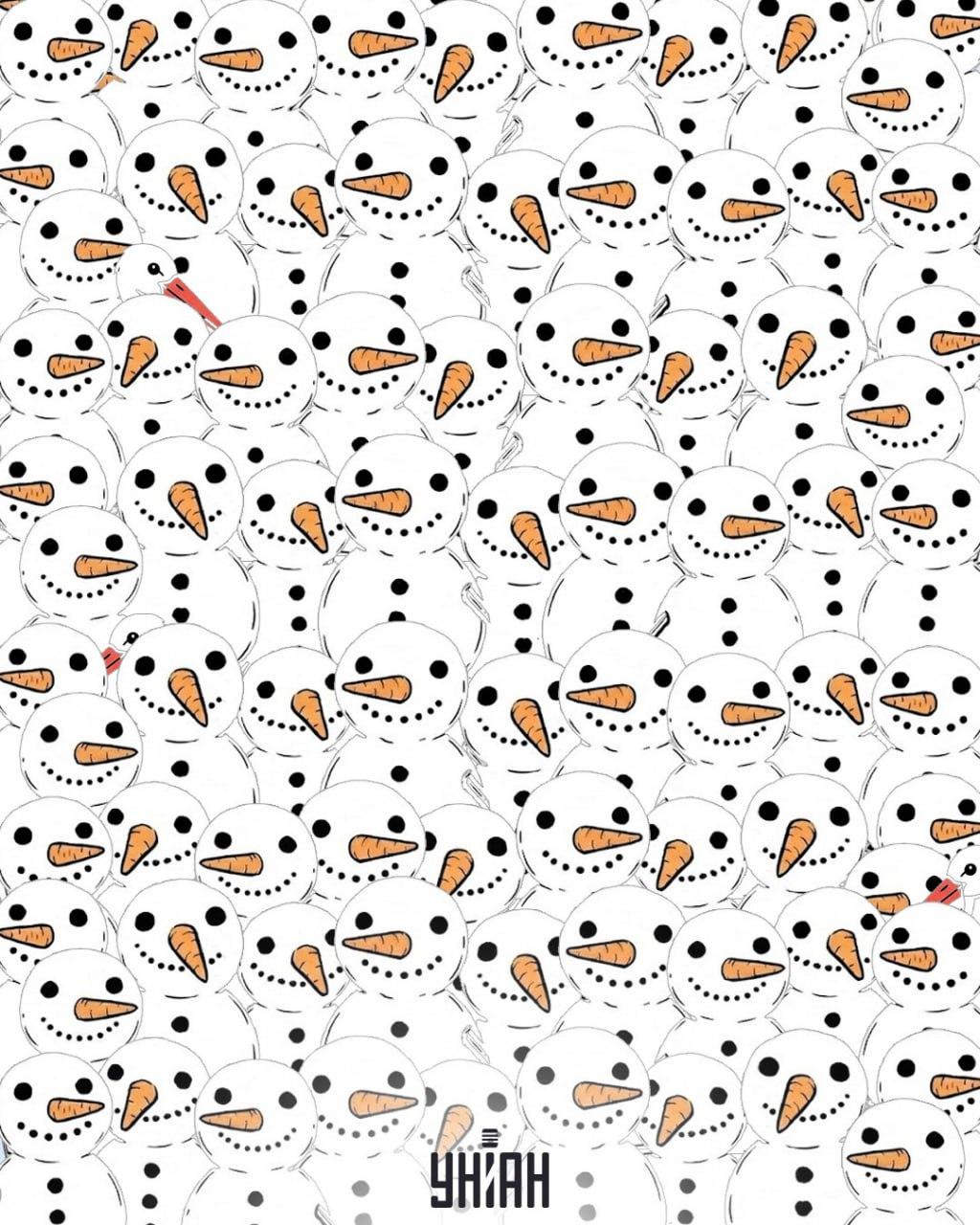 V 11 sekundah poiščite 3 štorklje med snežaki: neverjetna optična iluzija