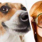 Le pravi IQ-jevec bo v 10 sekundah videl psa v